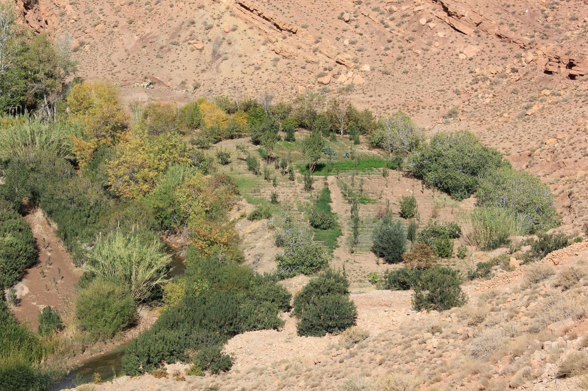 הוסטל Akhendachou n'Ait Ouffi Kasbah Lucas מראה חיצוני תמונה