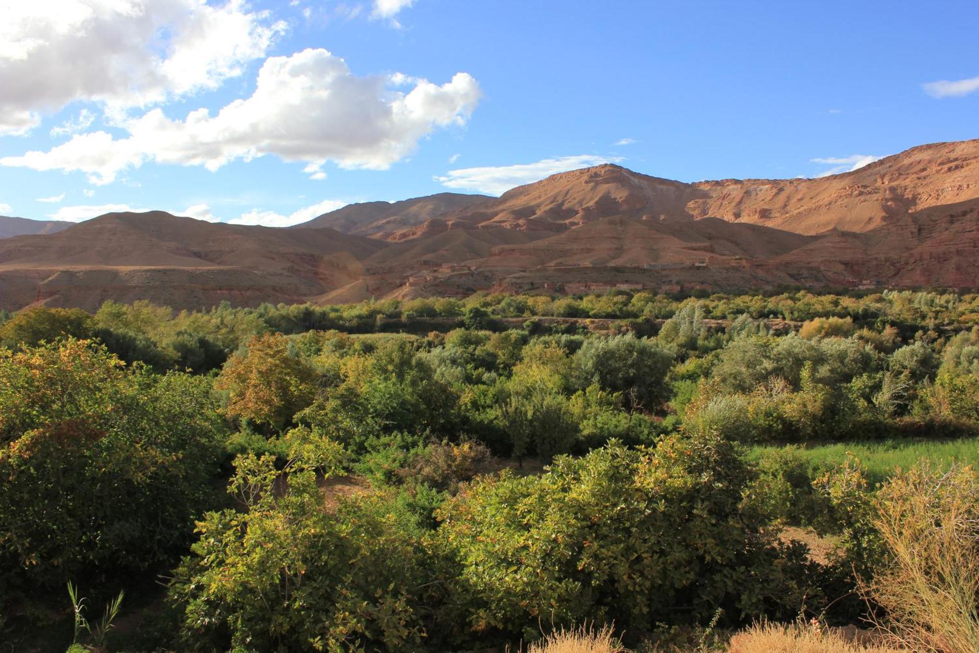 הוסטל Akhendachou n'Ait Ouffi Kasbah Lucas מראה חיצוני תמונה
